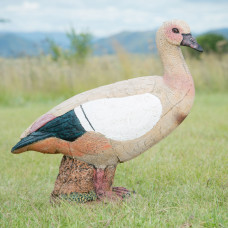 Wildcrete Egyptian Goose